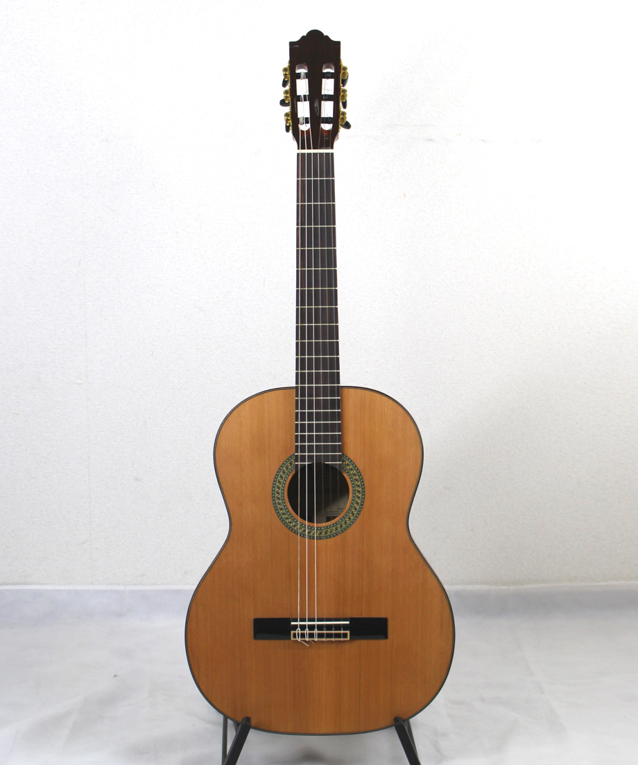 Fernando C8