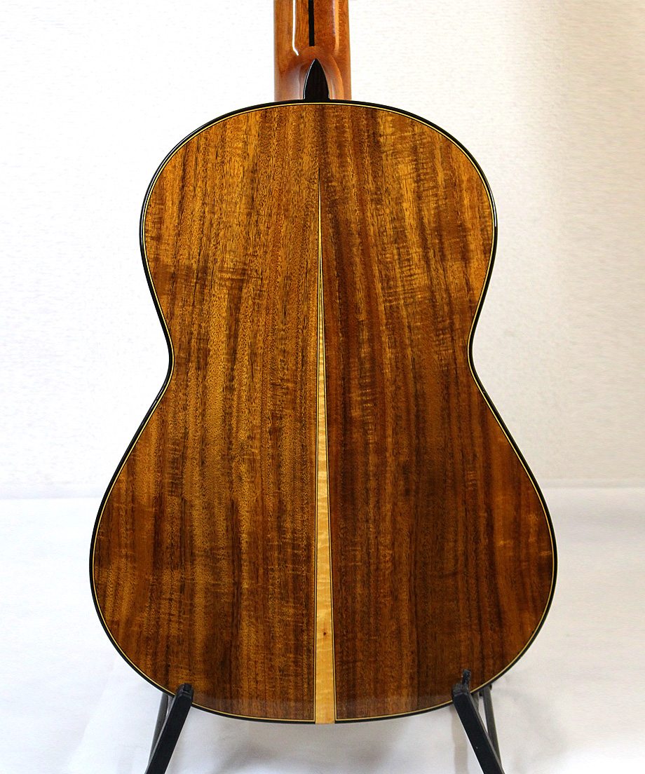 Yulong Guo製作のダブルトップギター