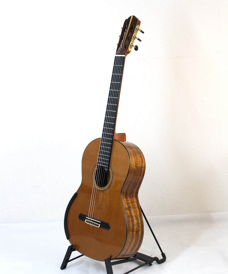 Yulong Guo製作のダブルトップギター